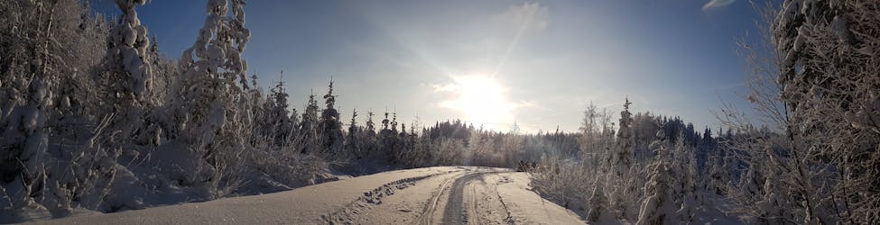 Caminhada com raquetes de neve por uma floresta finlandesa